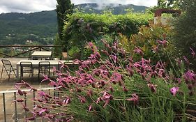 Agriturismo Braccicorti