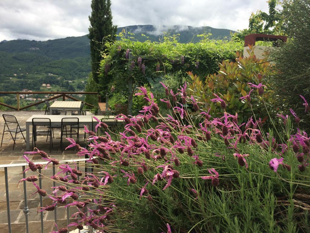 Agriturismo Braccicorti Hotel Pieve Fosciana Esterno foto