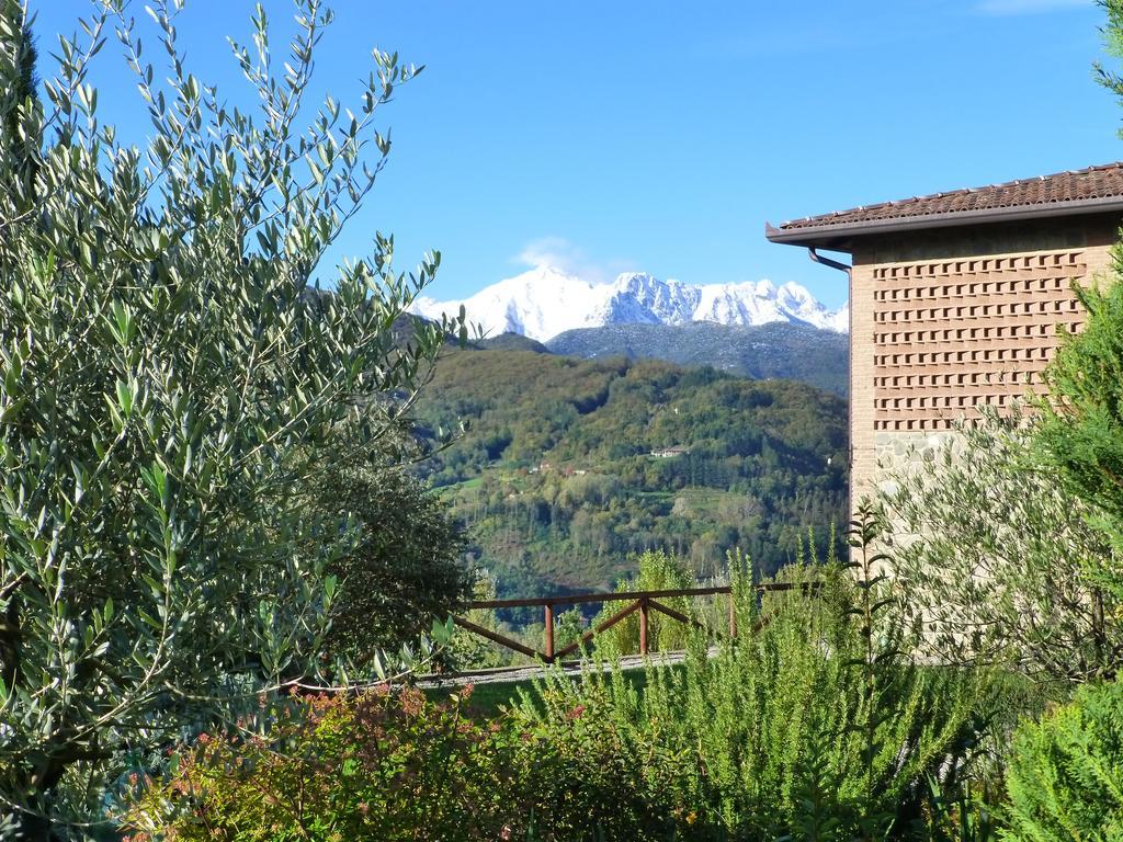 Agriturismo Braccicorti Hotel Pieve Fosciana Esterno foto