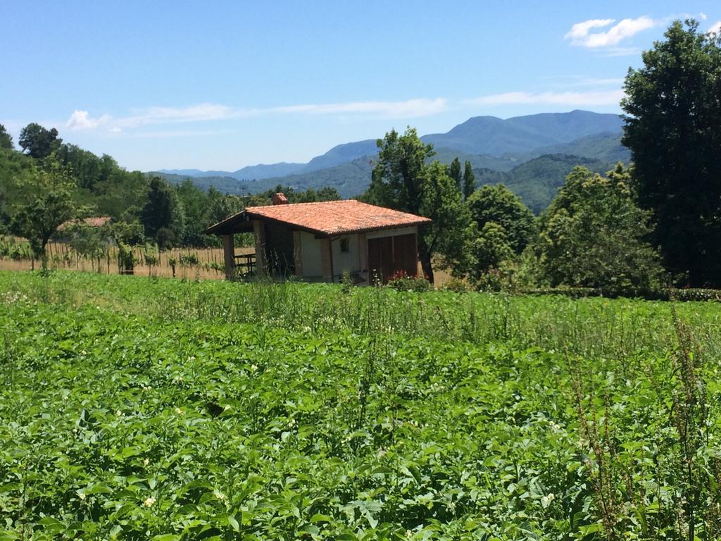 Agriturismo Braccicorti Hotel Pieve Fosciana Esterno foto