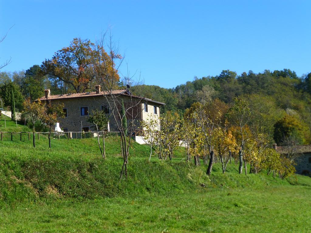 Agriturismo Braccicorti Hotel Pieve Fosciana Esterno foto