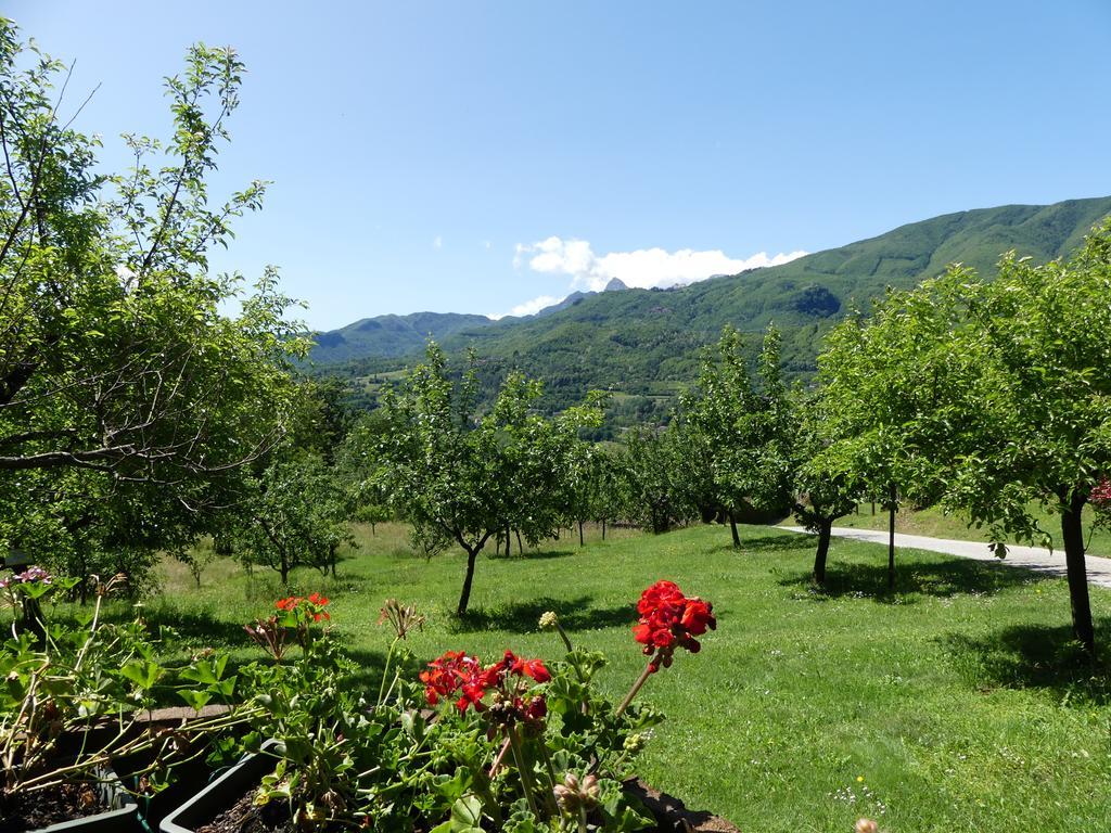 Agriturismo Braccicorti Hotel Pieve Fosciana Esterno foto