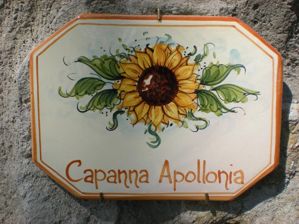 Agriturismo Braccicorti Hotel Pieve Fosciana Esterno foto