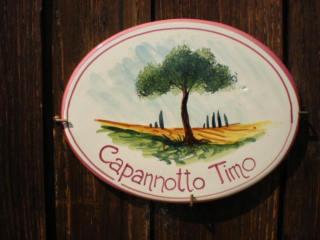 Agriturismo Braccicorti Hotel Pieve Fosciana Esterno foto