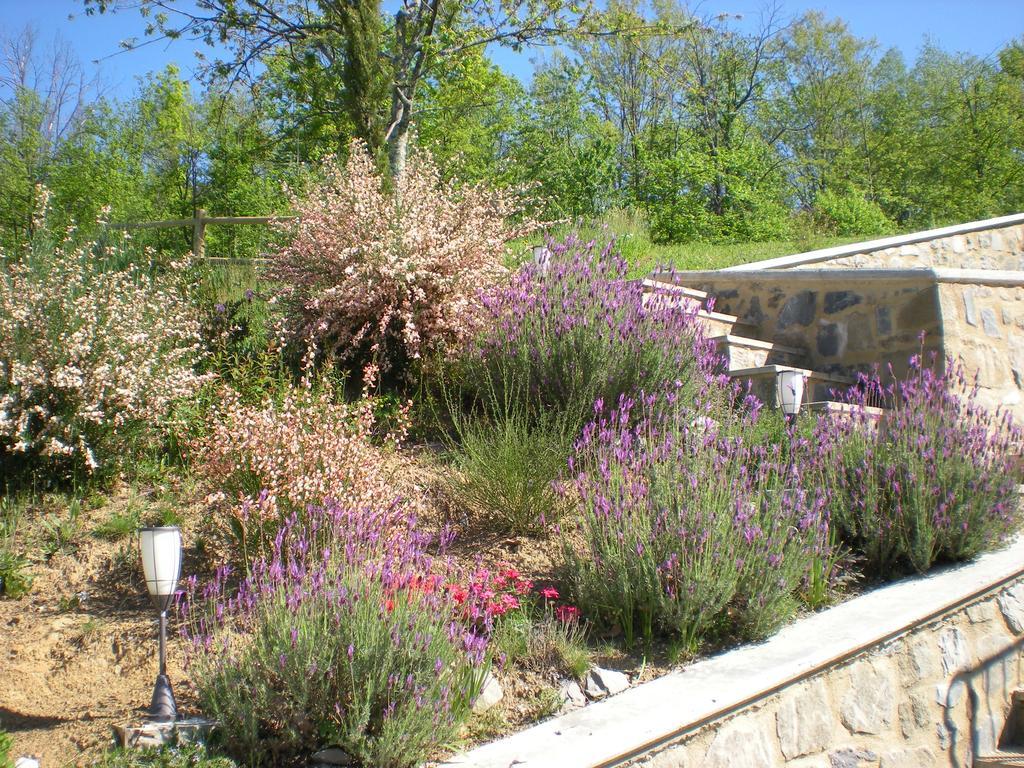 Agriturismo Braccicorti Hotel Pieve Fosciana Esterno foto
