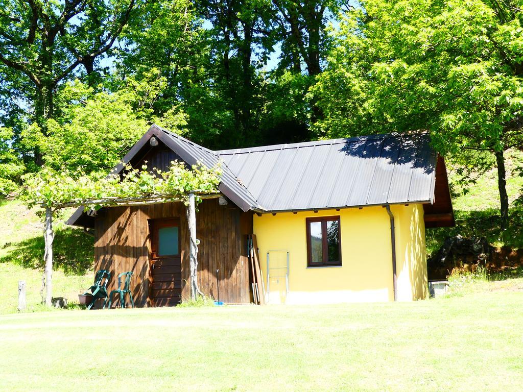 Agriturismo Braccicorti Hotel Pieve Fosciana Esterno foto